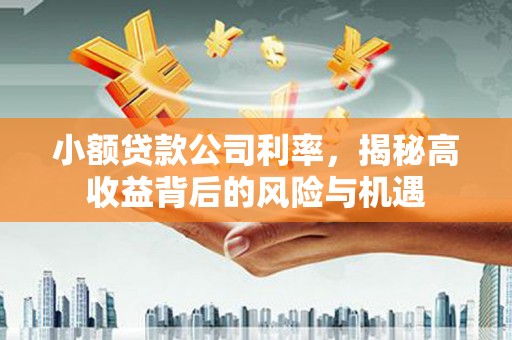 安福小额贷款公司利率，揭秘高收益背后的风险与机遇