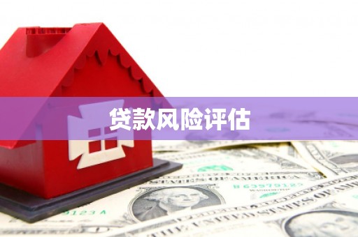 安福贷款风险评估