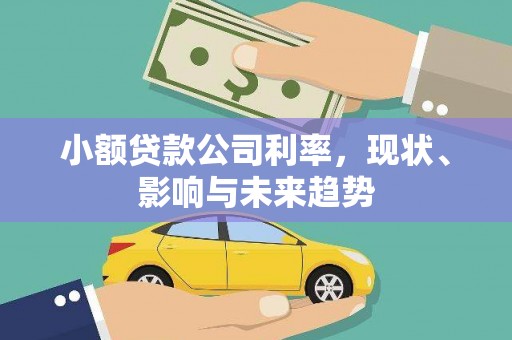 安福小额贷款公司利率，现状、影响与未来趋势