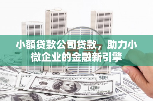 安福小额贷款公司贷款，助力小微企业的金融新引擎
