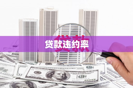 安福贷款违约率