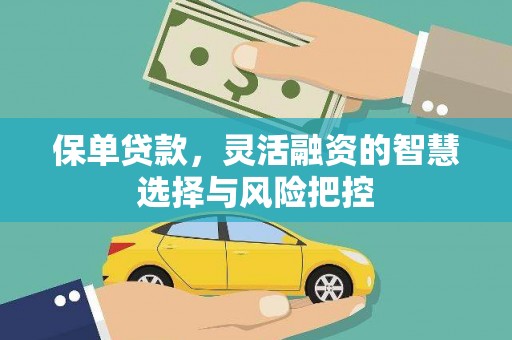 安福保单贷款，灵活融资的智慧选择与风险把控