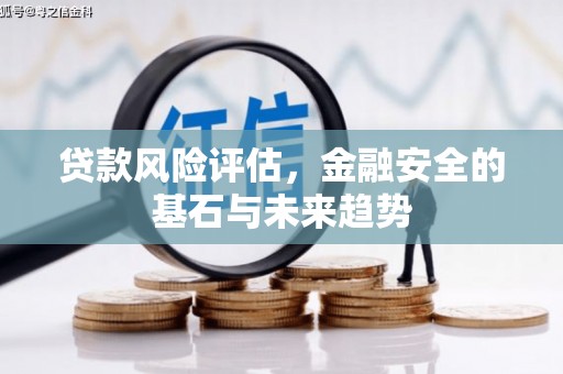 安福贷款风险评估，金融安全的基石与未来趋势