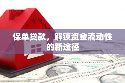 安福保单贷款，解锁资金流动性的新途径