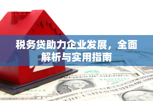 安福税务贷助力企业发展，全面解析与实用指南