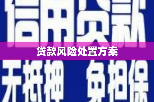 安福贷款风险处置方案