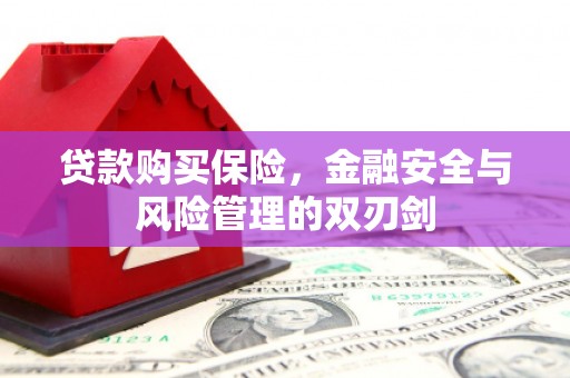 安福贷款购买保险，金融安全与风险管理的双刃剑