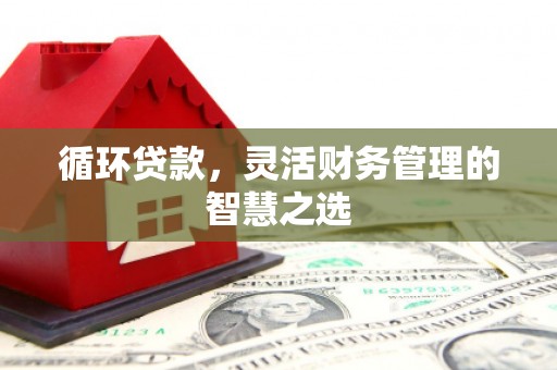 安福循环贷款，灵活财务管理的智慧之选