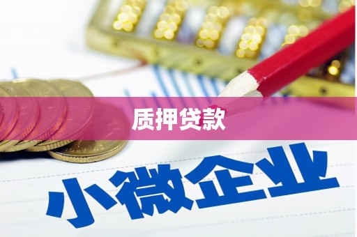 安福质押贷款