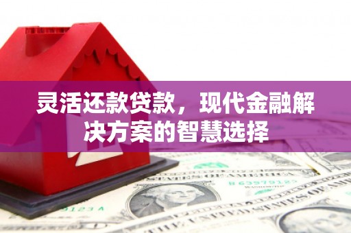 安福灵活还款贷款，现代金融解决方案的智慧选择