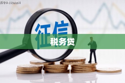 安福税务贷