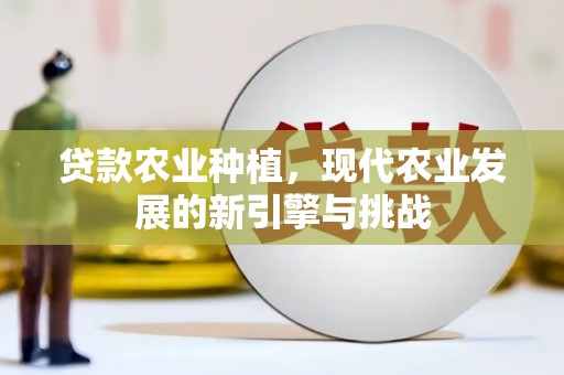安福贷款农业种植，现代农业发展的新引擎与挑战