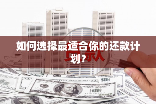 安福如何选择最适合你的还款计划？