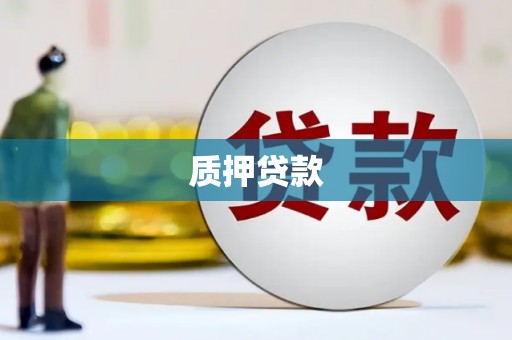 安福质押贷款