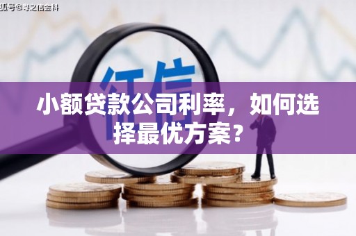 安福小额贷款公司利率，如何选择最优方案？