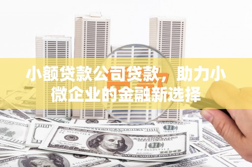 安福小额贷款公司贷款，助力小微企业的金融新选择