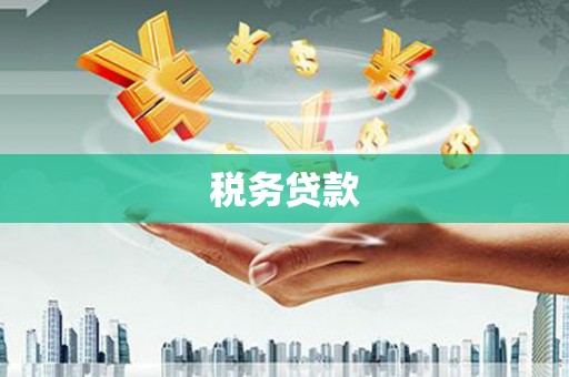 安福税务贷款