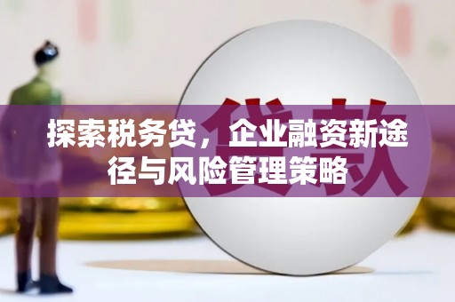 安福探索税务贷，企业融资新途径与风险管理策略