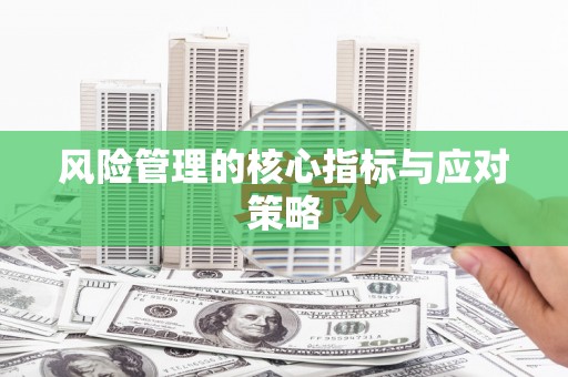 安福风险管理的核心指标与应对策略