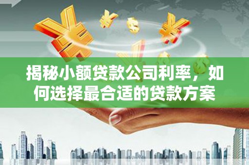 安福揭秘小额贷款公司利率，如何选择最合适的贷款方案