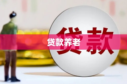 安福贷款养老