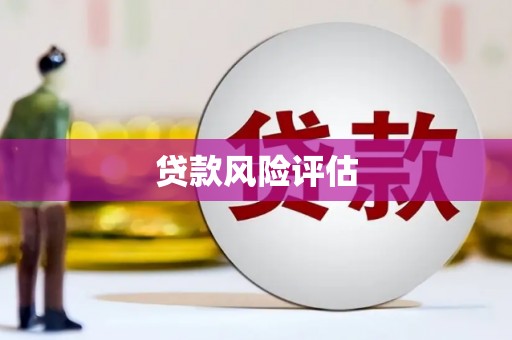 安福贷款风险评估