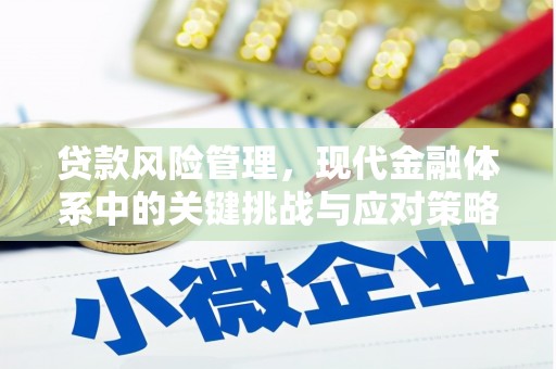 安福贷款风险管理，现代金融体系中的关键挑战与应对策略