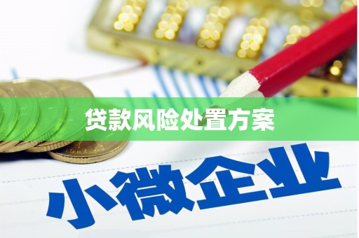 安福贷款风险处置方案
