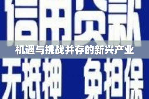 安福机遇与挑战并存的新兴产业