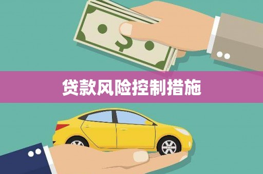 安福贷款风险控制措施