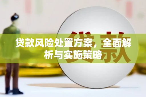 安福贷款风险处置方案，全面解析与实施策略