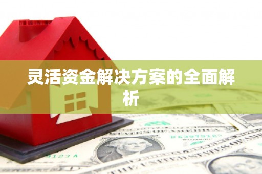 安福灵活资金解决方案的全面解析